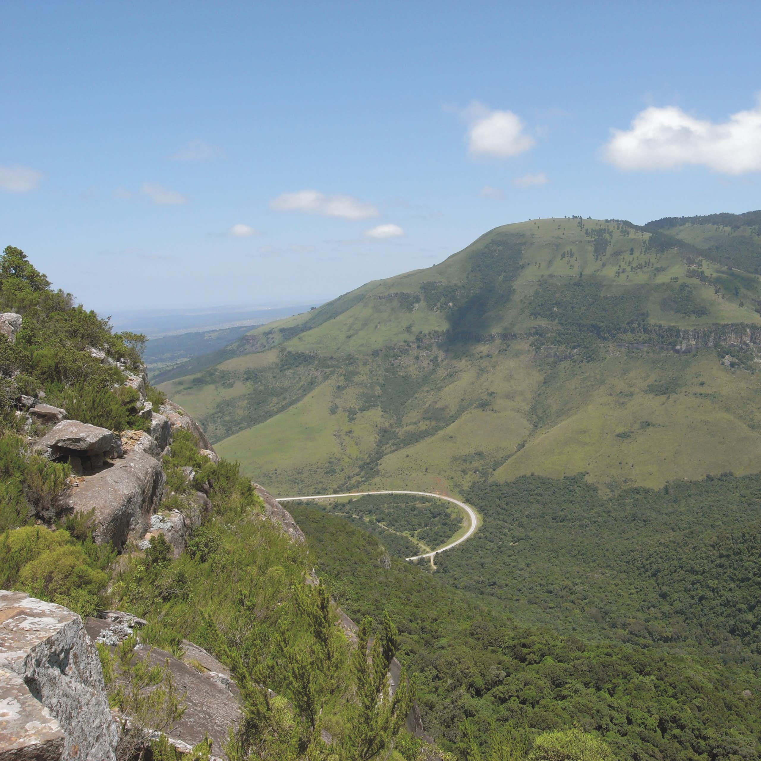 Two mountains covered with grass, trees and shrubs