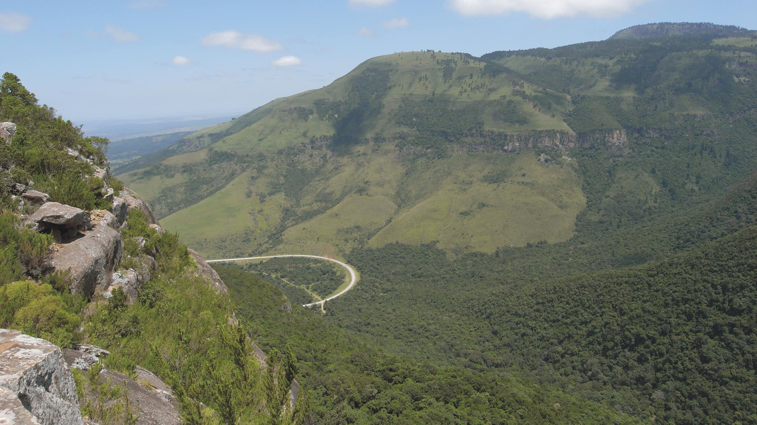 Two mountains covered with grass, trees and shrubs