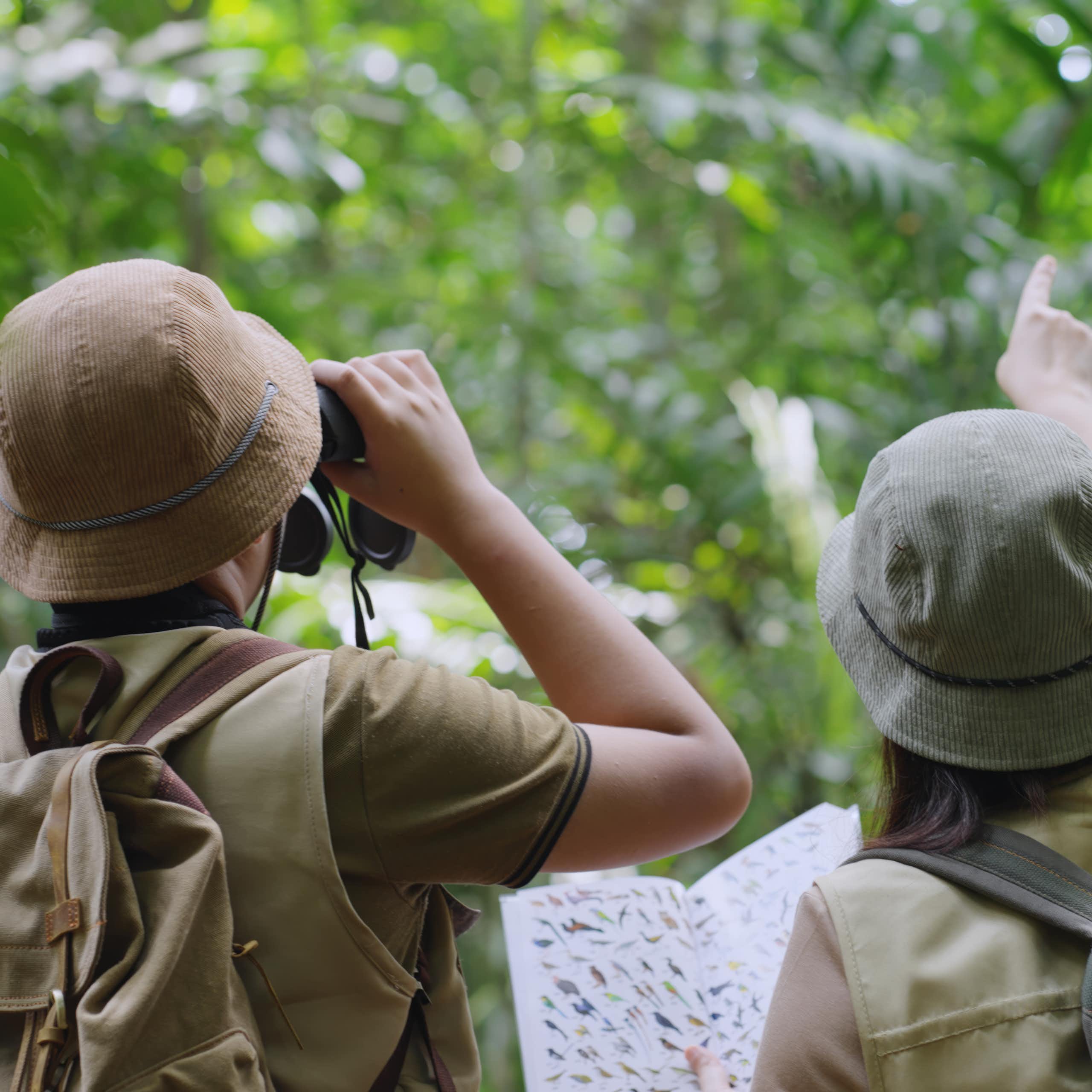 Two people looking at birds in a forest using binoculars and a guidebook. 