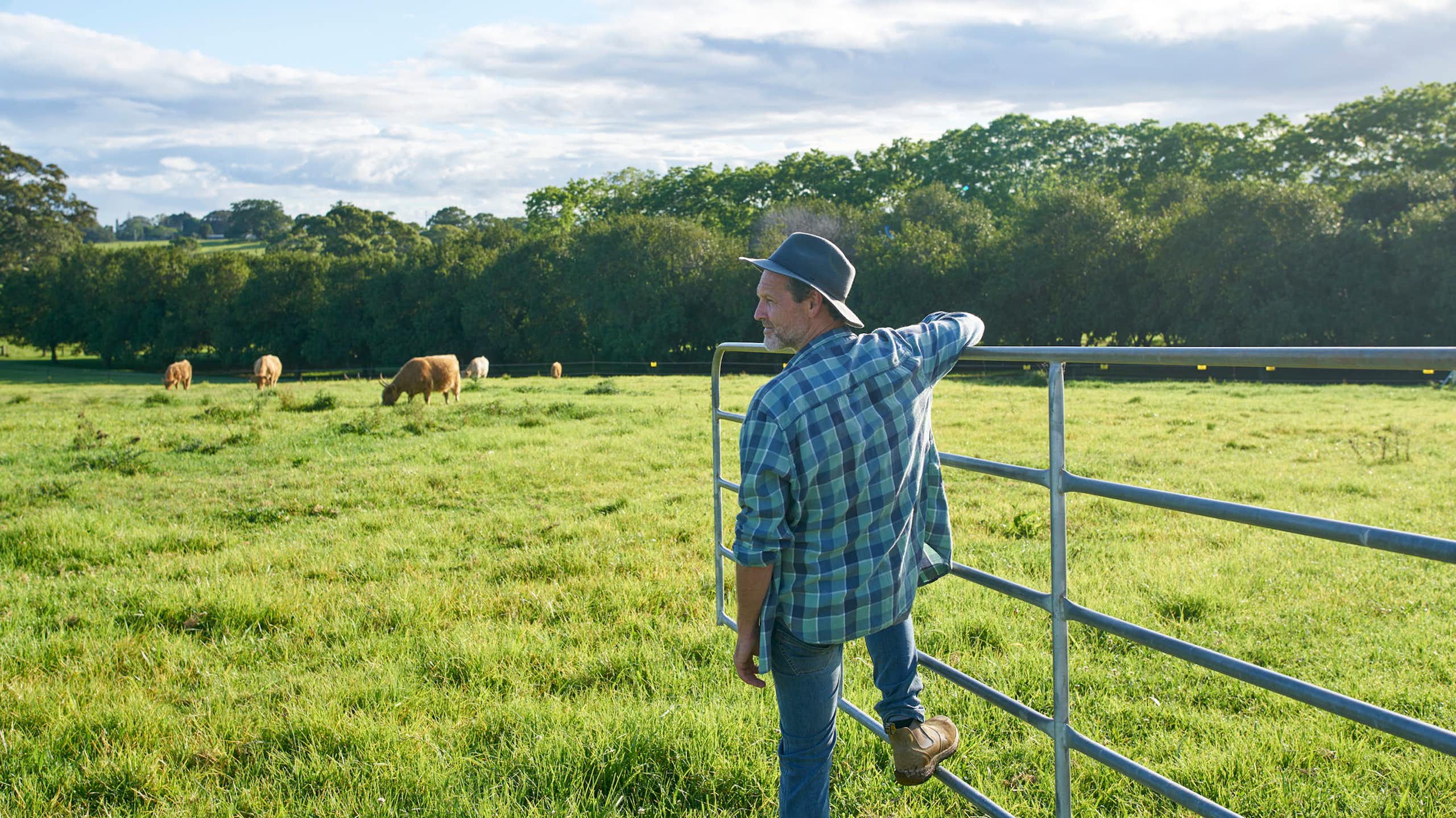 A male farmer holds onto a farm gate while looking out onto a paddock.