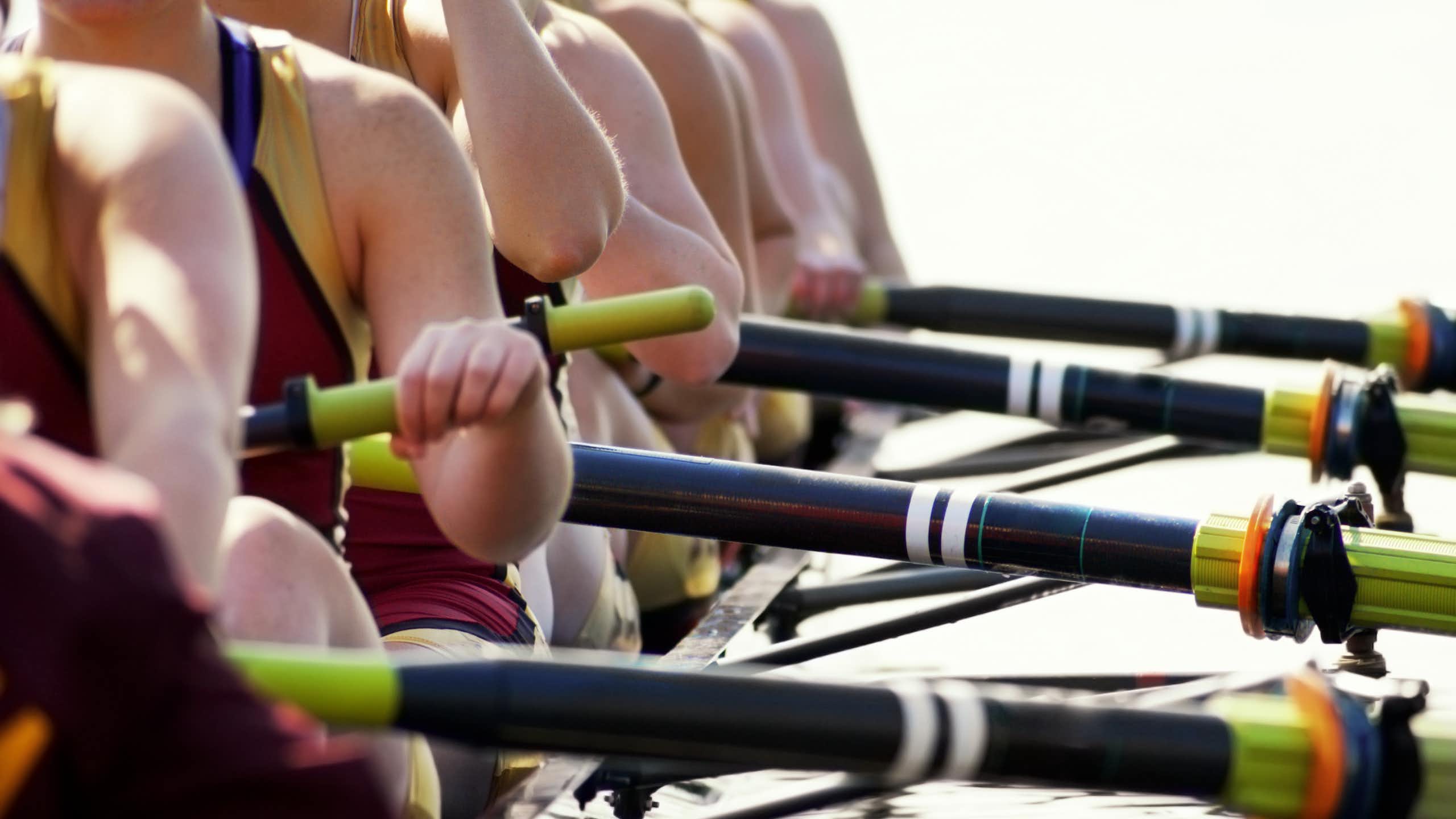 Close up of rowers' arms
