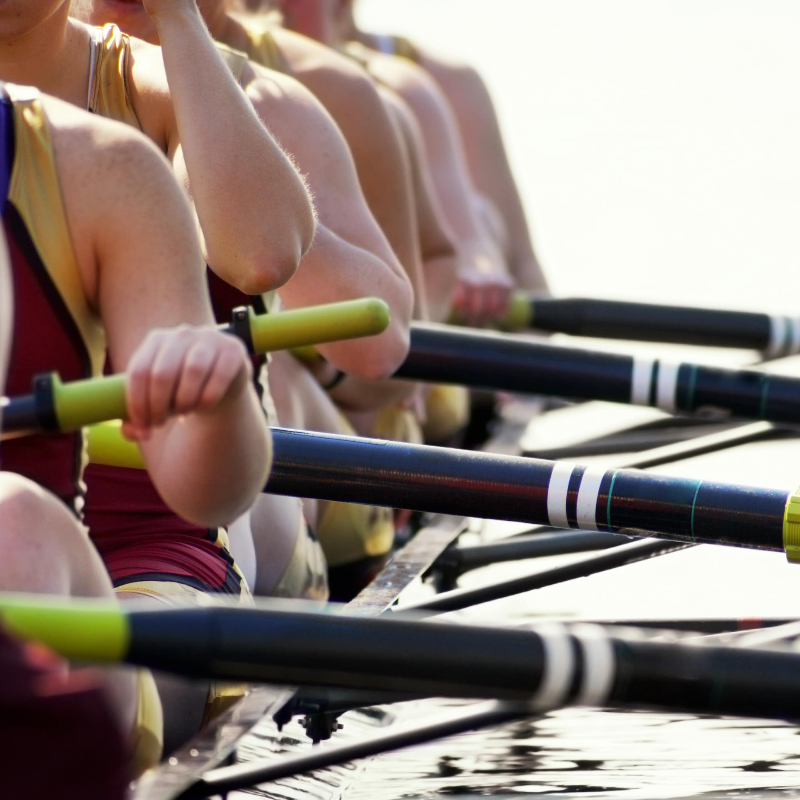 Close up of rowers' arms