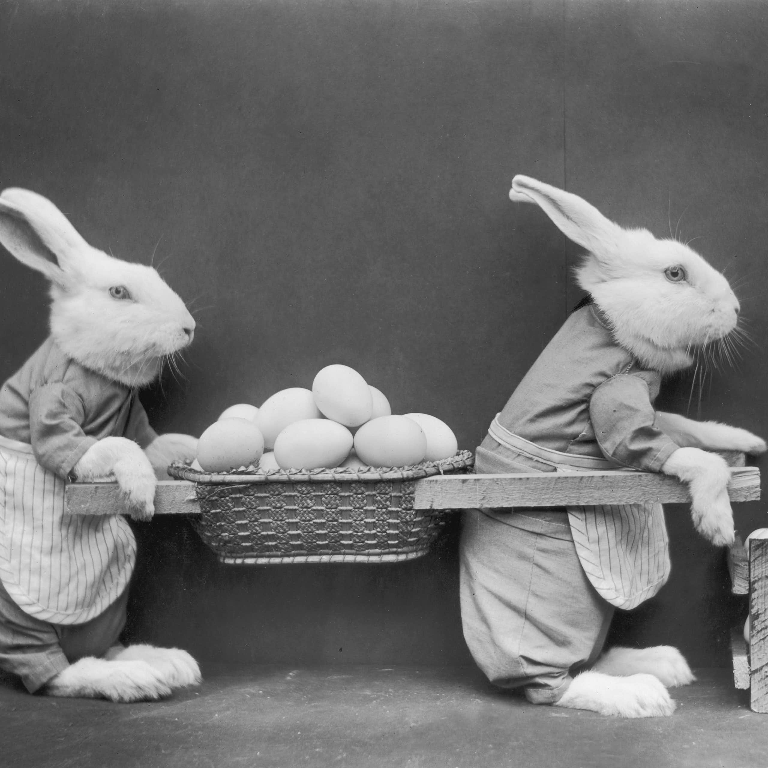 A black and white image of two rabbits, carrying eggs between them in little carts.